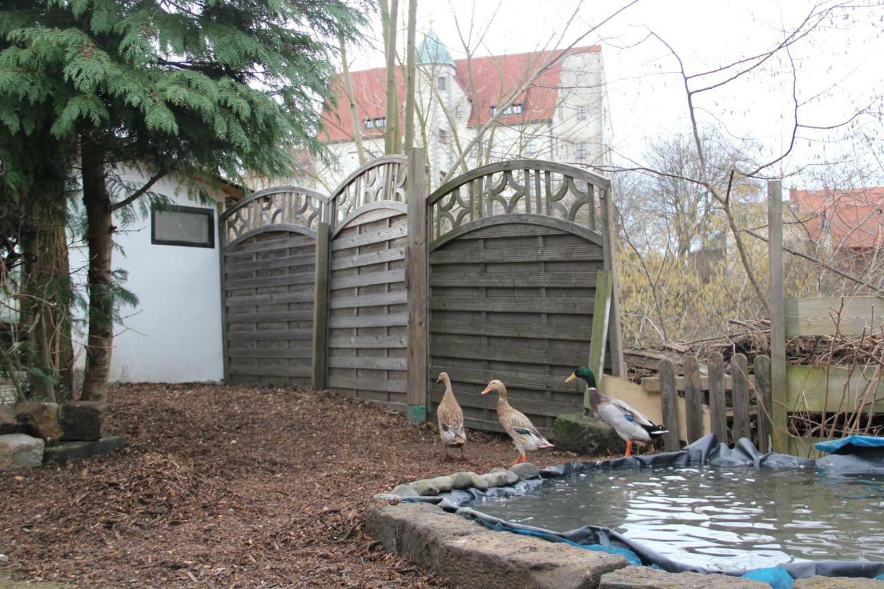 Ferienhaus Puttrich Hohnstein Exterior foto