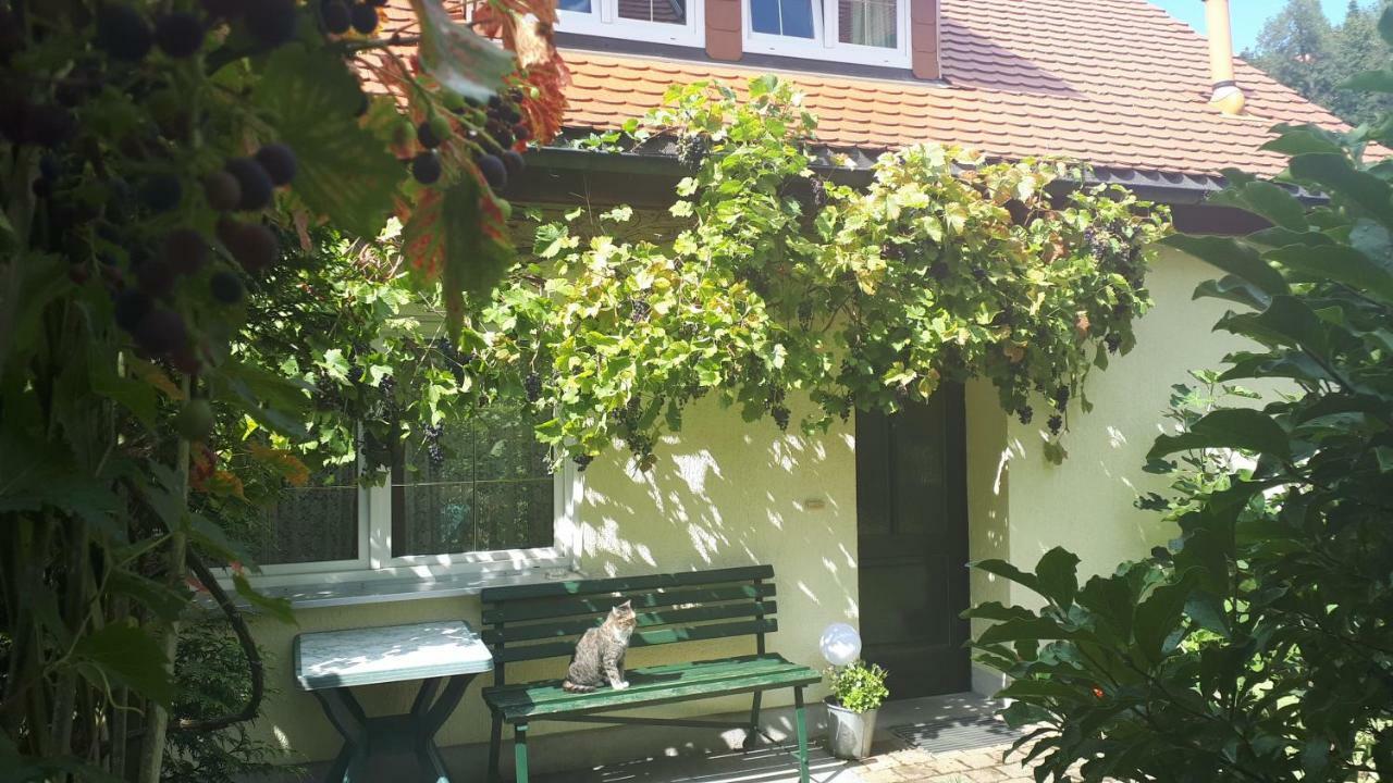 Ferienhaus Puttrich Hohnstein Exterior foto